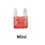 ฟิวส์รถยนต์ Mini Blade Fuses Auto Car Truck Assortment Fuse Kit 10A